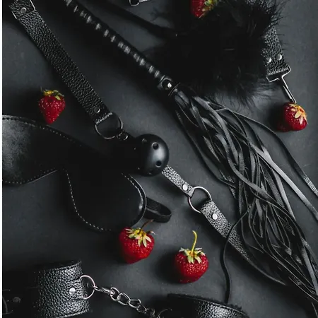 公寓 Le Baiser 2 Du Plaisir Interdit *