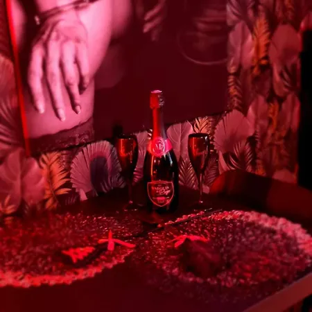 Le Baiser 2 Du Plaisir Interdit * 圣阿尔努