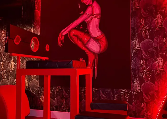 Le Baiser 2 Du Plaisir Interdit Apartment *